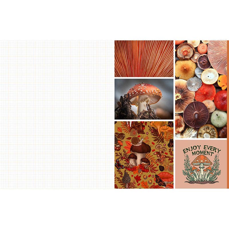 Cut and Collage Mushrooms and Fungi