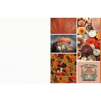 Cut and Collage Mushrooms and Fungi