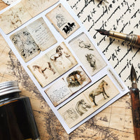 Equine Sketchbooks Sticker Sheet