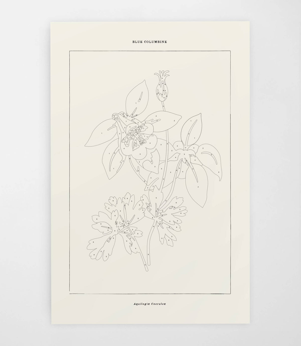 Blue Columbine Botanical | Modern Paint By Numbers Kit