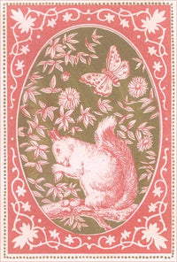 Postcard AN-177 Squirrel in Pink Decorative Frame