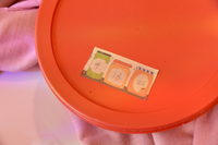 Jam Jar Washi Tape