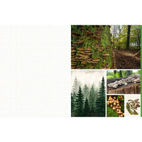 Cut and Collage Mushrooms and Fungi