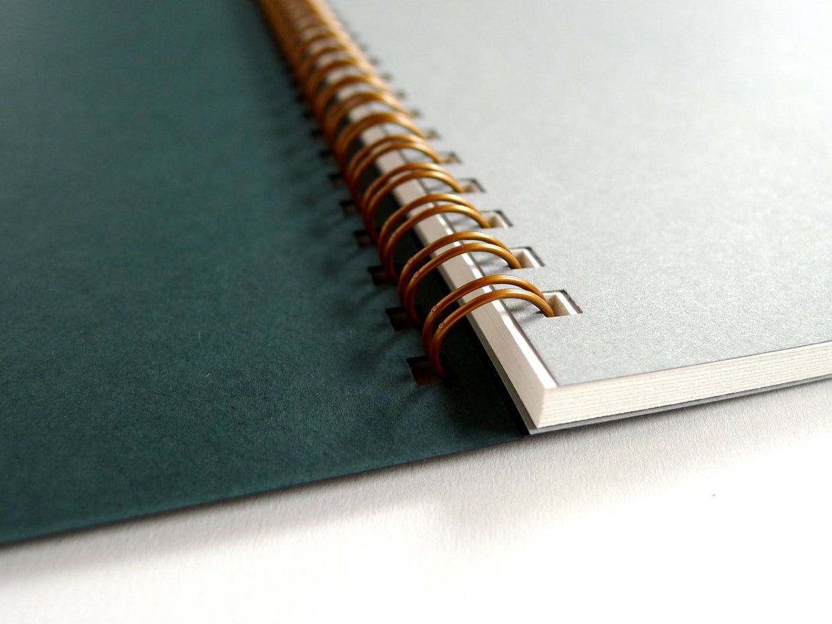 Dandelion Notebook, MD