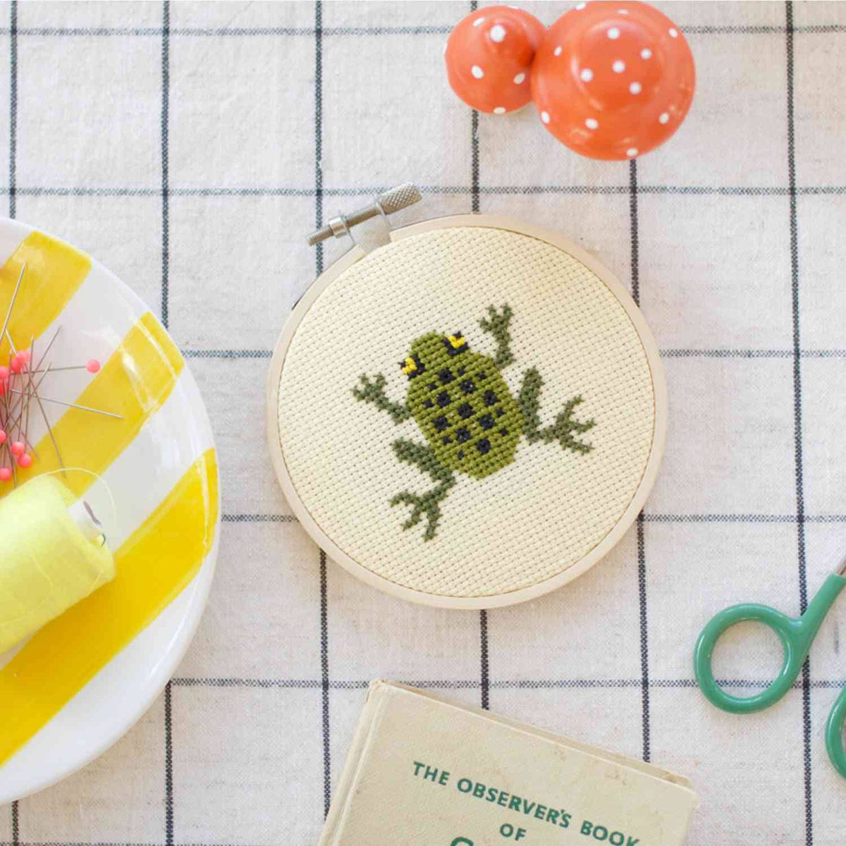 Frog Cross Stitch Kit