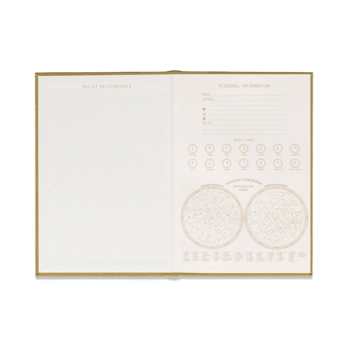 Radiant Journal - Avocado