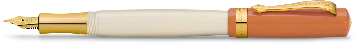 Fountain Pen - Student Series - 70's Soul