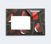 Pigeon Post- Robin & Wren