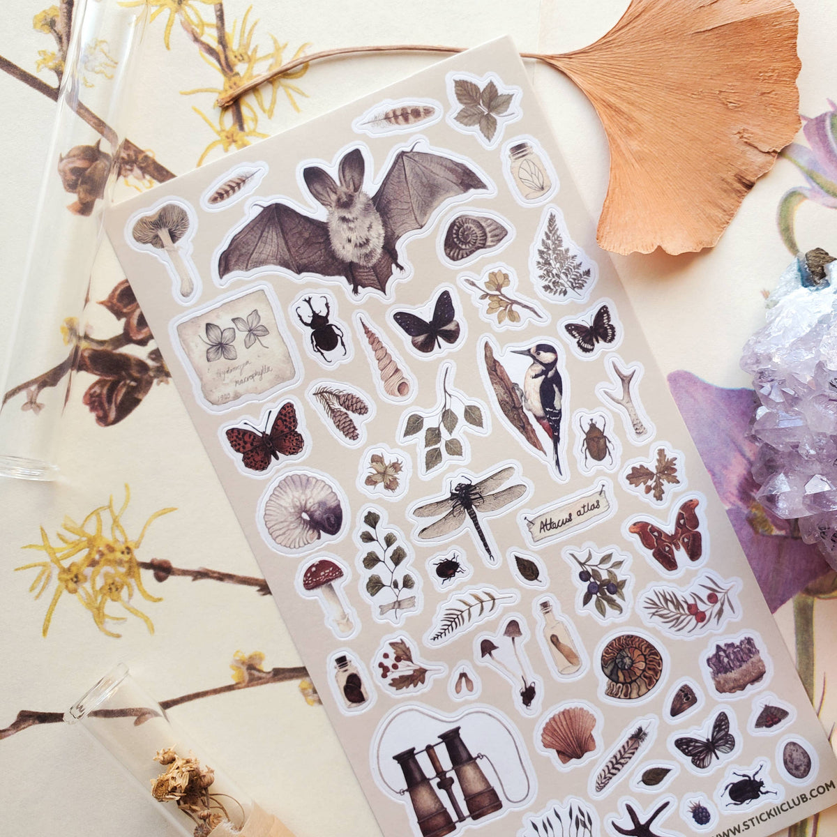 The Naturalist Sticker Sheet