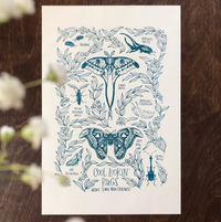 Cool Bugs Print