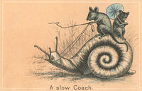 Postcard TC-225 Mice Riding Snail