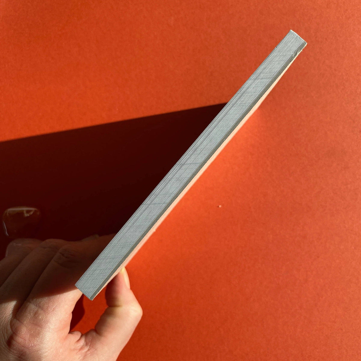 Plan More Frolicking Notepad
