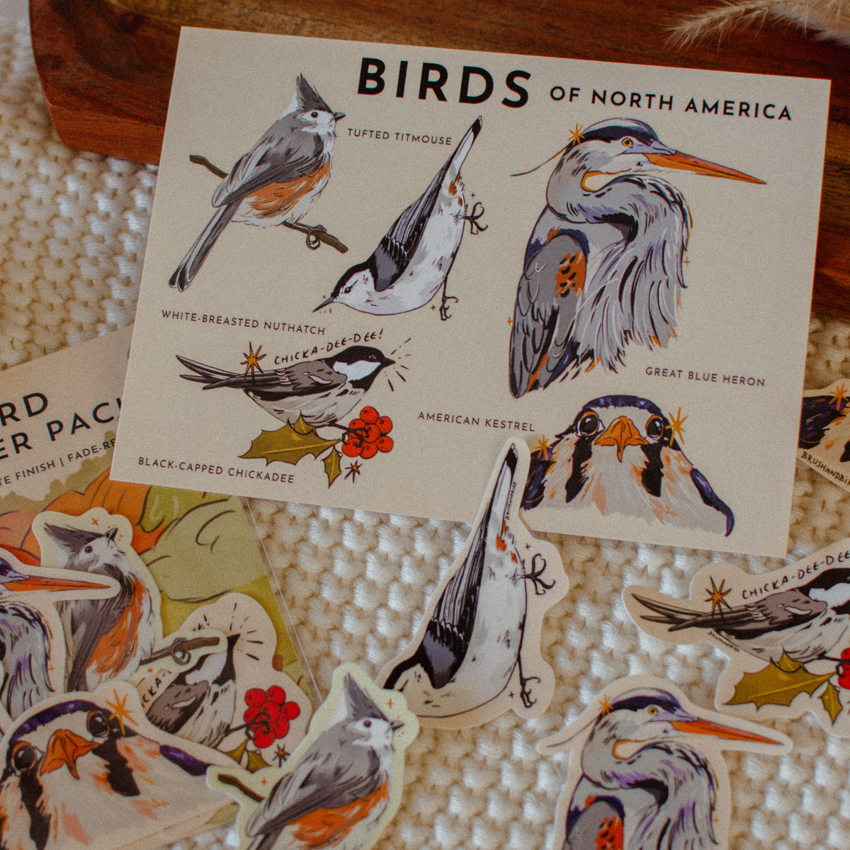 Bird Lover Postcard | Illustrated North American Birds