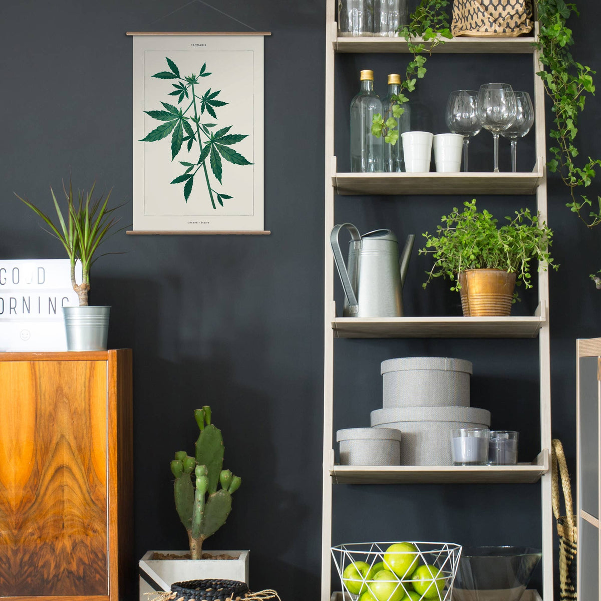 Cannabis Botanical | Modern Paint By Numbers  Kit