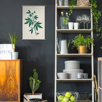 Cannabis Botanical | Modern Paint By Numbers  Kit