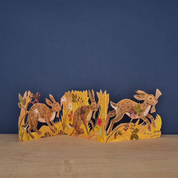 Three Fold Hares