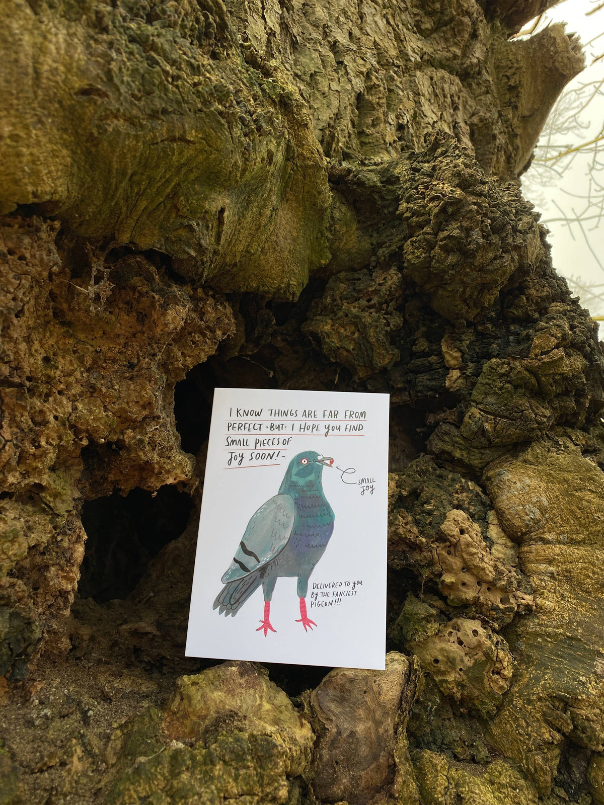 I know things are far from perfect pigeon greeting card