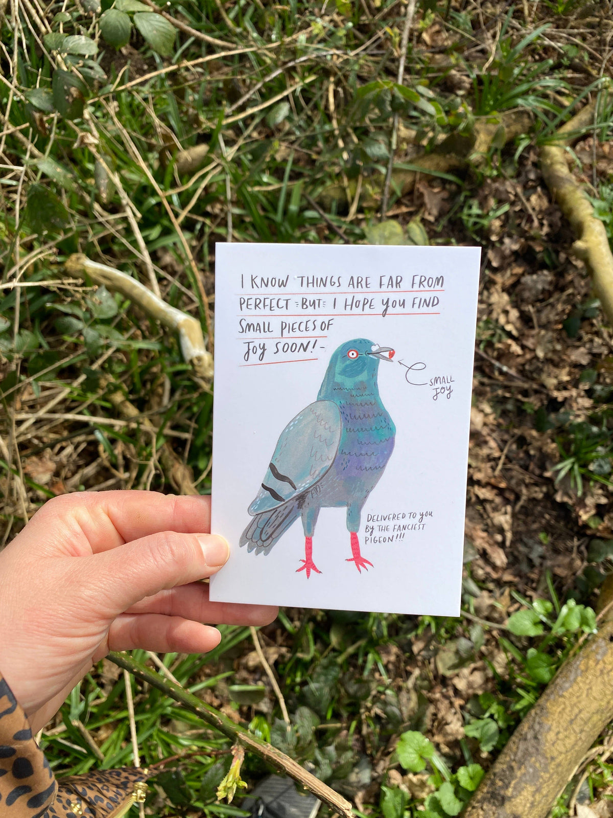 I know things are far from perfect pigeon greeting card