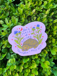 Turtle Time Vinyl Sticker