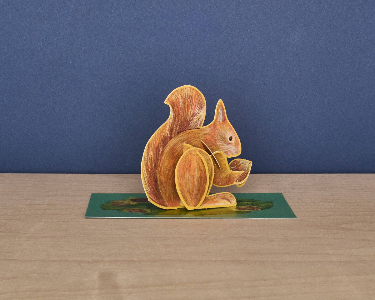 Pop-Out Red Squirrel
