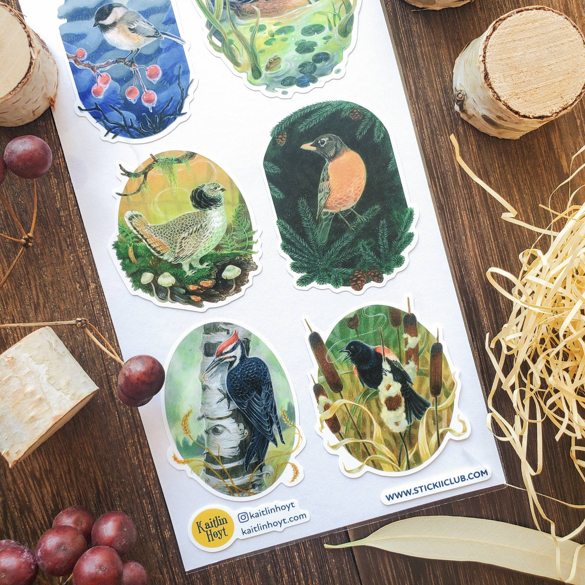Songbirds of the Seasons Sticker Sheet