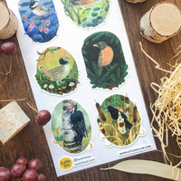 Songbirds of the Seasons Sticker Sheet