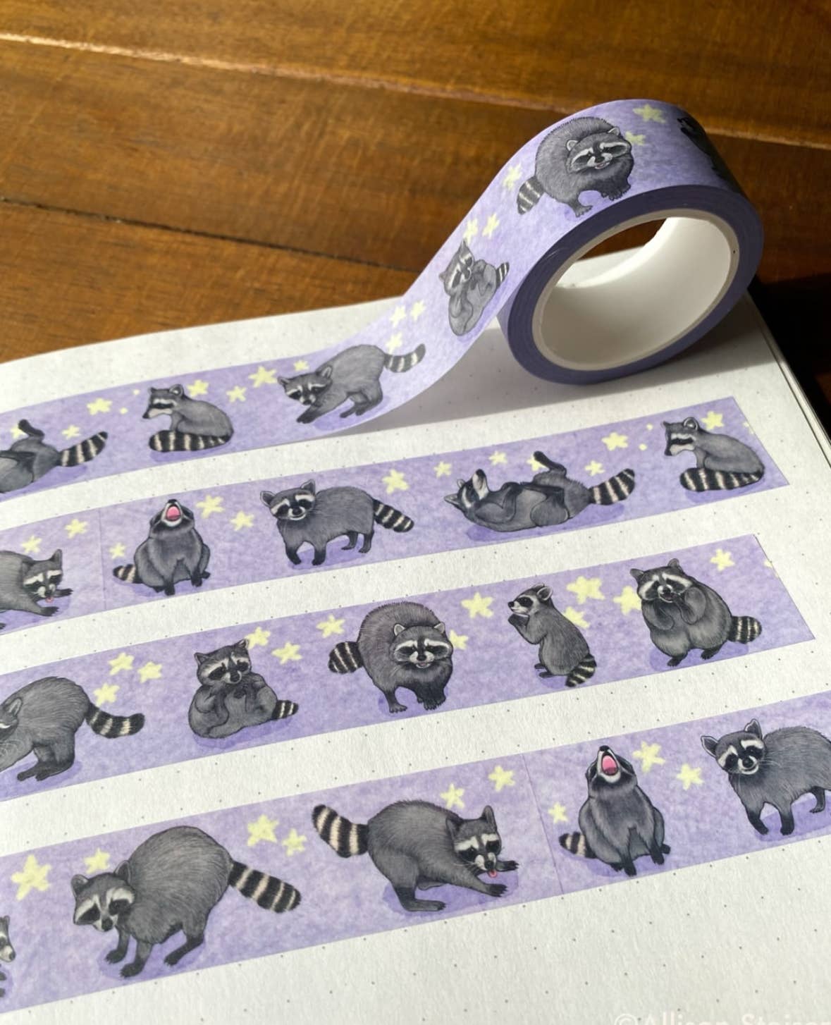 Rambunctious Raccoons Washi Tape