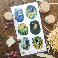 Songbirds of the Seasons Sticker Sheet