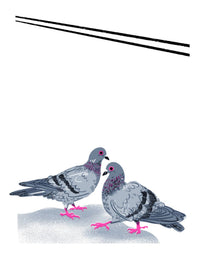 Pigeons! 'Little Jotter' Notepad 