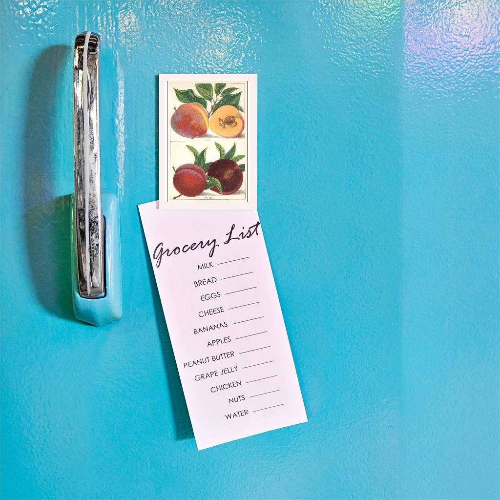 Magnet FR-143 Kelsey and Satsuma Peaches