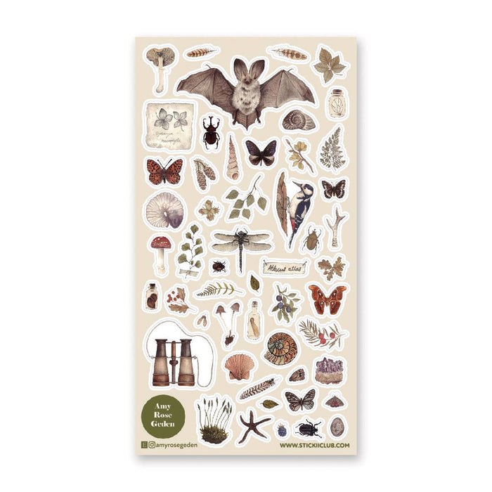 The Naturalist Sticker Sheet