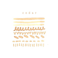FUMISOME | Botanical Dye Ink 05 Cedar Brown