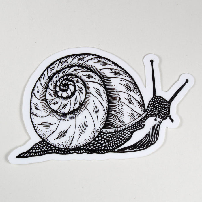 Snail Sticker