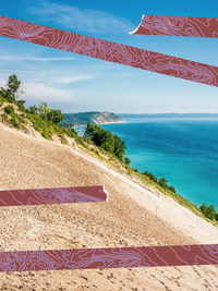 Topographic Washi Tape: Purple/ Pyramid Point