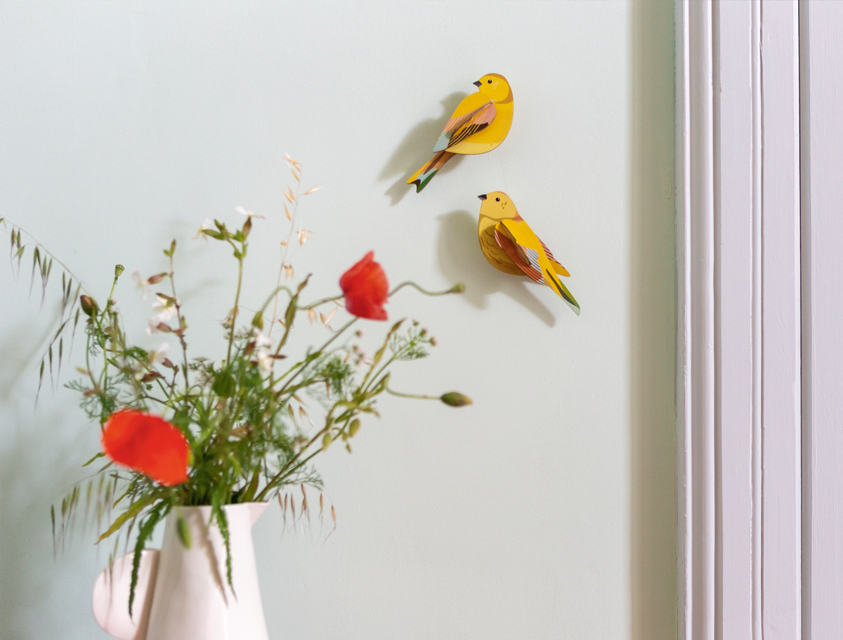 3D Wall Art - Garden Birds - Citrinella Pair
