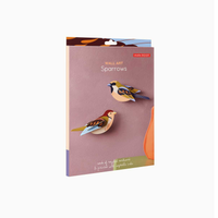 3D Wall Art - Garden Birds - Sparrows