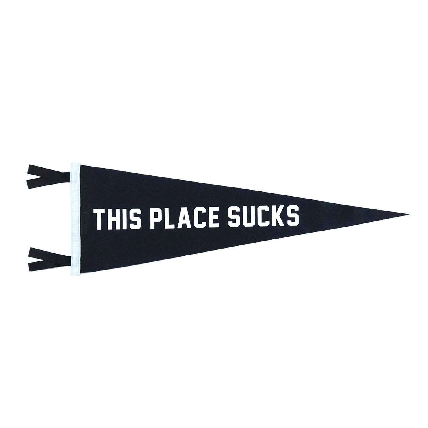 This Place Sucks Pennant - Thumbnail 2