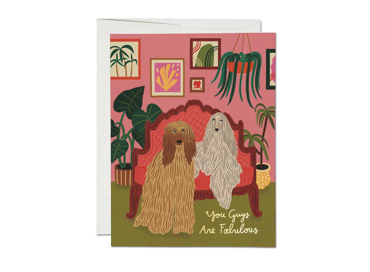 Afghan Dogs friendship greeting card